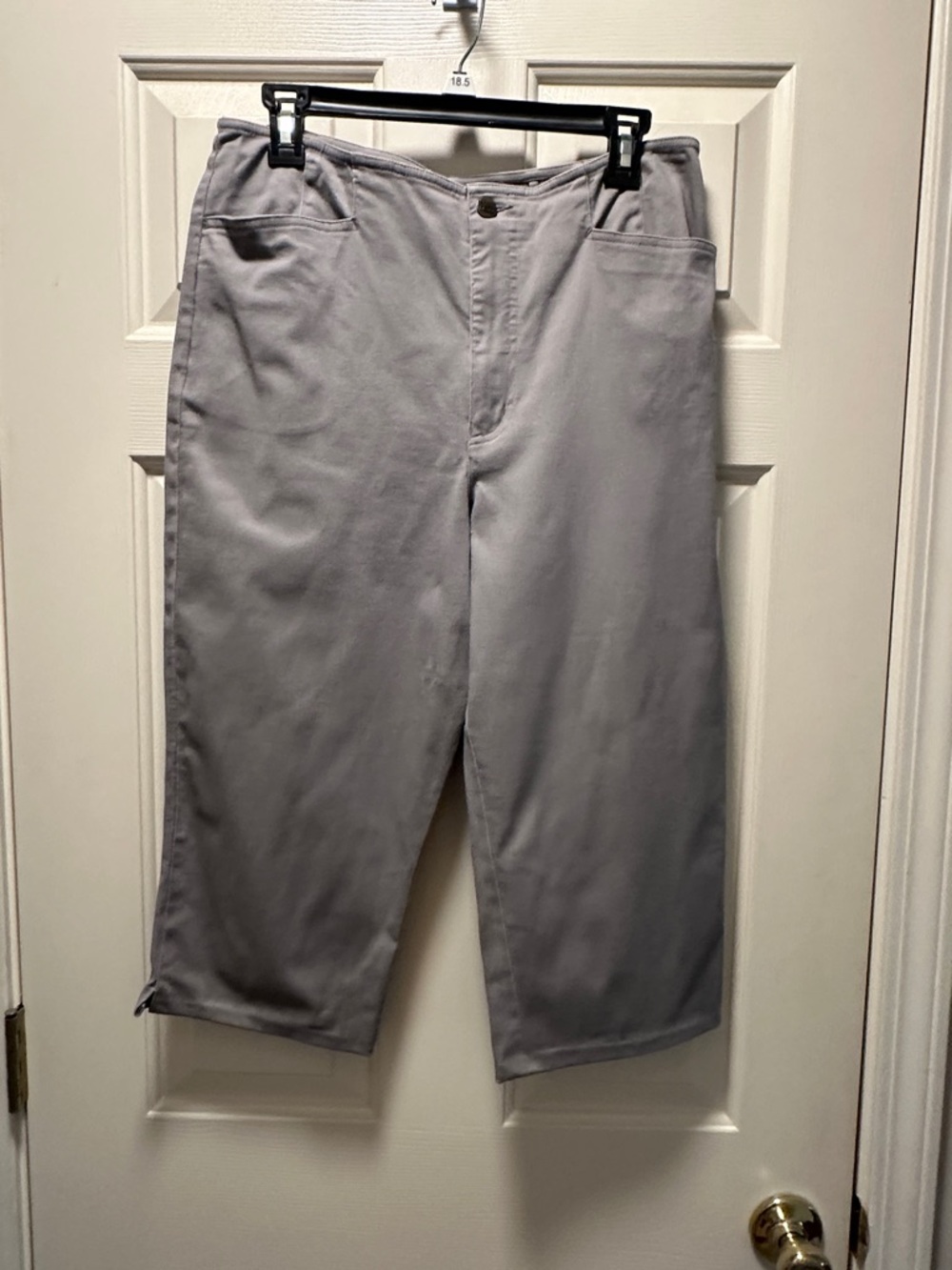 Dream Jeans Classic Straight-Leg Cropped Pants in Light Gray